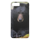 Recherche de ursus coques Parc