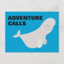 Recherche de beluga cartes postales Trouver dory