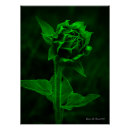 Recherche de mur tournesol art Nature