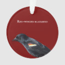 Search for blackbird ornaments Birds