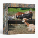 Search for llama craft supplies Animal