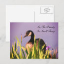 Recherche de appreciation cartes postales Customer