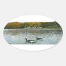 Search for love ducks stickers Bird