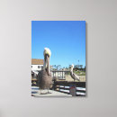 Search for beaks canvas prints Feathers