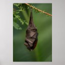 Recherche de regard art De près