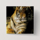 Search for tiger eye buttons Wildlife