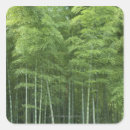 Search for bamboo forest stickers Nature