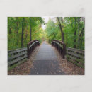 Search for forest path postcards Woods