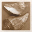 Recherche de sensuel Nature
