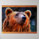 Search for wildlife posters Nature