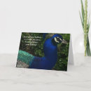 Recherche de couleurs paon vœux cartes Oiseau