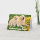 Search for golden retriever birthday cards Pup