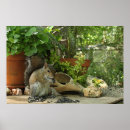 Recherche de écureuil posters Bois