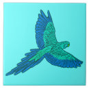 Recherche de perroquet bleu carreaux Turquoise