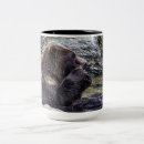 Search for brown bears mugs grizzly