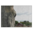 Search for dappled Equine