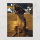 Search for pee postcards Dog