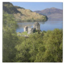 Recherche de médiéval carreaux Architecture