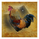 Search for rooster art Hen house