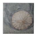 Recherche de dollar de sable carreaux Mer