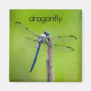 Recherche de insecte fait sur commande magnets Pour enfants