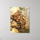 Search for tree bark canvas prints Trunk