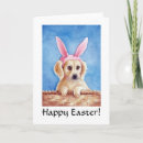 Search for golden retriever easter cards Bunny