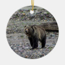 Search for grizzly bear ornaments Brown