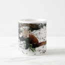 Search for firefox mugs Bear