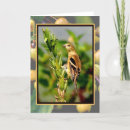 Search for crabapple cards Autumn
