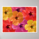 Search for bright flowers posters Summer