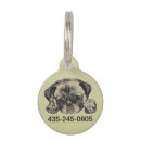 Search for pet pug Animals