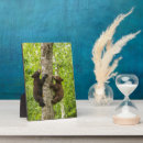 Search for danita delimont plaques Cathy