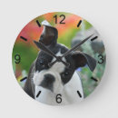 Recherche de terriers horloges Chien