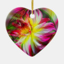Search for dahlia flower ornaments Nature