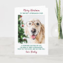 Search for veterinarian christmas cards Pets