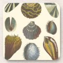 Search for collectable barware Ocean