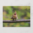 Search for stressed postcards Humourous