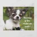 Search for thinks postcards Animal