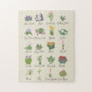 Search for plants puzzles Boho