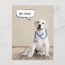 Recherche de labrador retriever posters Vétérinaire