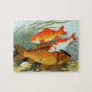 Recherche de goldfish puzzles Koi