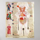 Search for corpse posters Dissection