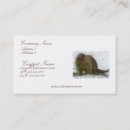Recherche de castor cartes visite Rongeur