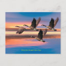 Search for atlantic canada postcards Wildlife