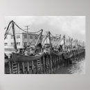 Recherche de sheepshead Marin