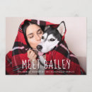 Search for new puppy invitations Typography