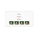 Search for little lamb return address labels Cute