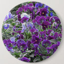 Search for pansies buttons Nature