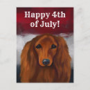 Search for hirsute postcards Long haired dachshund